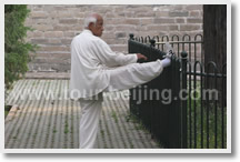 Beijing City Highlight Tour with Taiji Learning