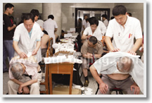 Chinese Medicine Study Day Tour
