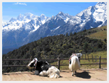 Lijiang Yunnan Tour