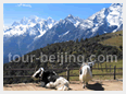 Lijiang Yunnan