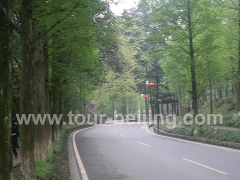 It only takes half hour from our restautant at Dujiangyan to Qingcheng Mountain by coach. Got off the bus, we were on the way to the cable car station. The mountain is famous for its greenery