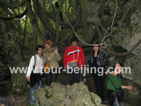 The tree resembles the Chinese word"心". Many people would like to take pictures there.