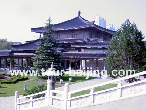 Shaanxi Provincial Museum