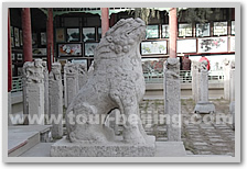 Xian Forest of Stone Steles Museum