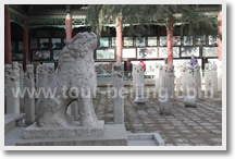Xian City One Day Bus Tour