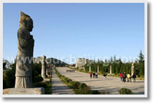 Xian Qianling Tomb and Famen Temple Bus Tour