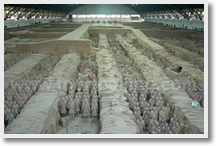 Terra-cotta Warriors Half Day Tour