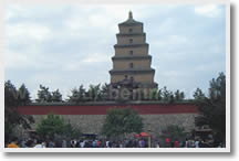 Terra-cotta Warriors, Banpo Museum and Big Goose Pagoda Tour