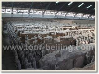 Terra Cotta Warrors