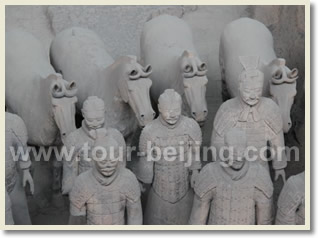 Terra Cotta Warrors