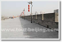 Beijing Xi'an Beijing One Day Tour by Train + Flight back