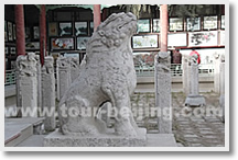 Beijing Xi'an Beijing 3 Day Tour by Flight
