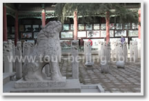 Xian 2-Day Tour Package