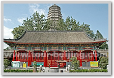 Shanghai Xi'an Shanghai 4 Day Tour by Flight