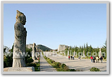 Shanghai Xi'an Shanghai 5 Day Tour by Flight