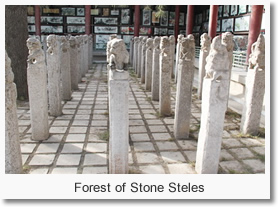 Forest of Stone Steles