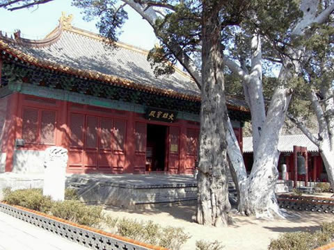 Fa Hai Temple