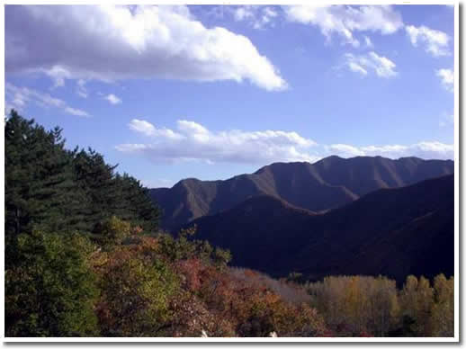 Beijing Songshan Forest Park