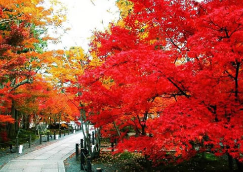 Fragrant Hills Park