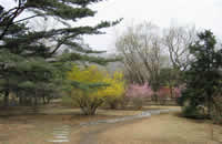 Beijing Botanical Gardens