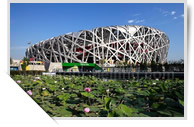 Bird's Nest