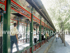 Summer Palace + City Planning Hall Private Day Tour