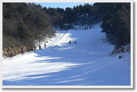 雲佛山滑雪場包車一日經典遊