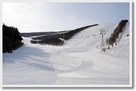 北京萬龍滑雪場二日遊