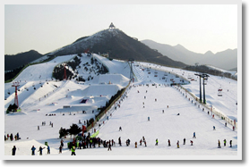 南山滑雪度假包車一日經典遊