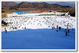 雪世界滑雪場、九華溫泉度假村包車一日經典遊