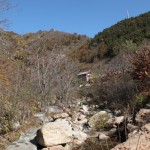 A stream is winding down past the cracks of the rocks.