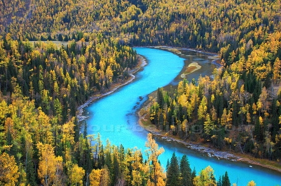 Autumn Leaaves at Kanas, Xinjiang 