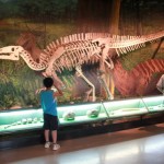 Dragon Skeleton