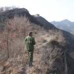 Follow Mr.Zhang hiking up to the west section along wall path rife with bushes and sapplings