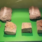 Fossils
