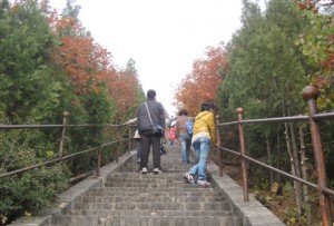 on the way to Guanyin Temple