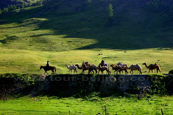Kazakh nomads migrate seasonally looking for pastures to feed their livestock