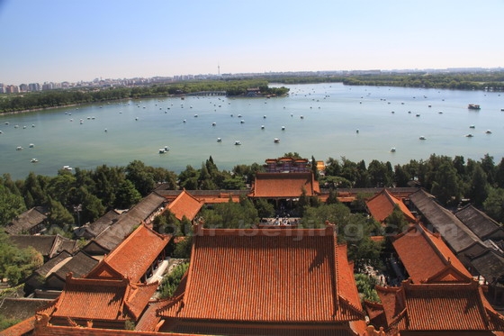Longevity Hill is accompanied by a group of buildings