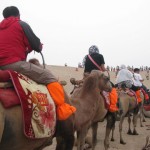 Riding a camel