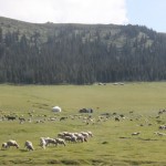 Sayram Lake (11)