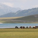 Sayram Lake (4)