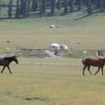 Sayram Lake (5)