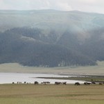Sayram Lake (6)