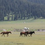 Sayram Lake (9)