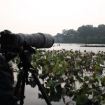 Shooting the Gushan Island where the wife and crane son happened.