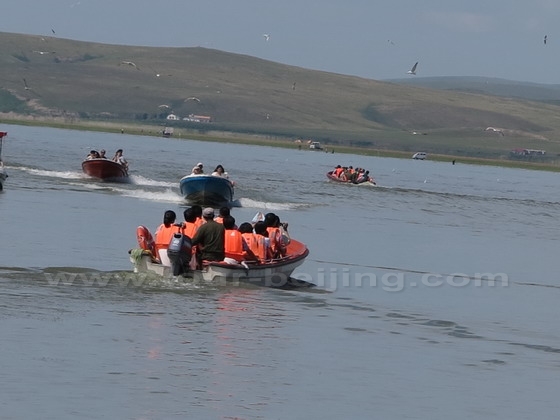 Surrounded by the gulls, people are leisurely boating on Hulun Lake.