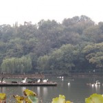 The Gushan Island with the a boat of cranes