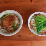Two bowls of rice noodle