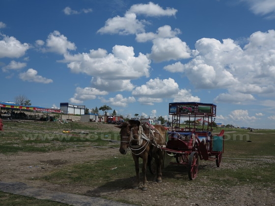 Under the white clouds and blue sky, a lele cart is waiting for you.