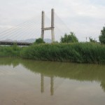 Yintan Bridge and the wetland park